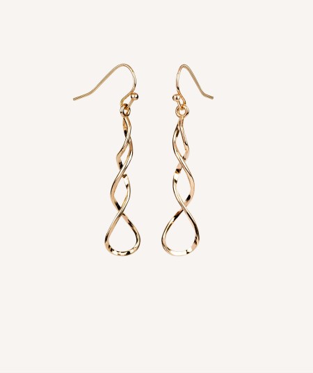 Earrings Long Circles