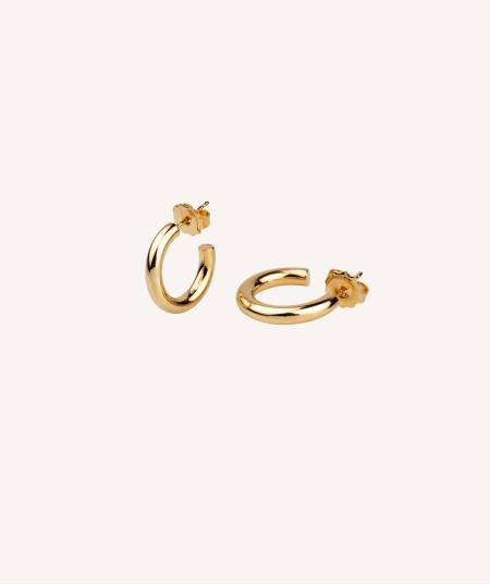 Earrings Hoop