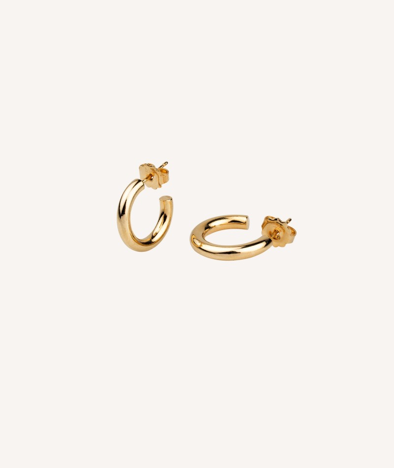 Earrings Hoop