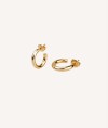 Earrings Hoop