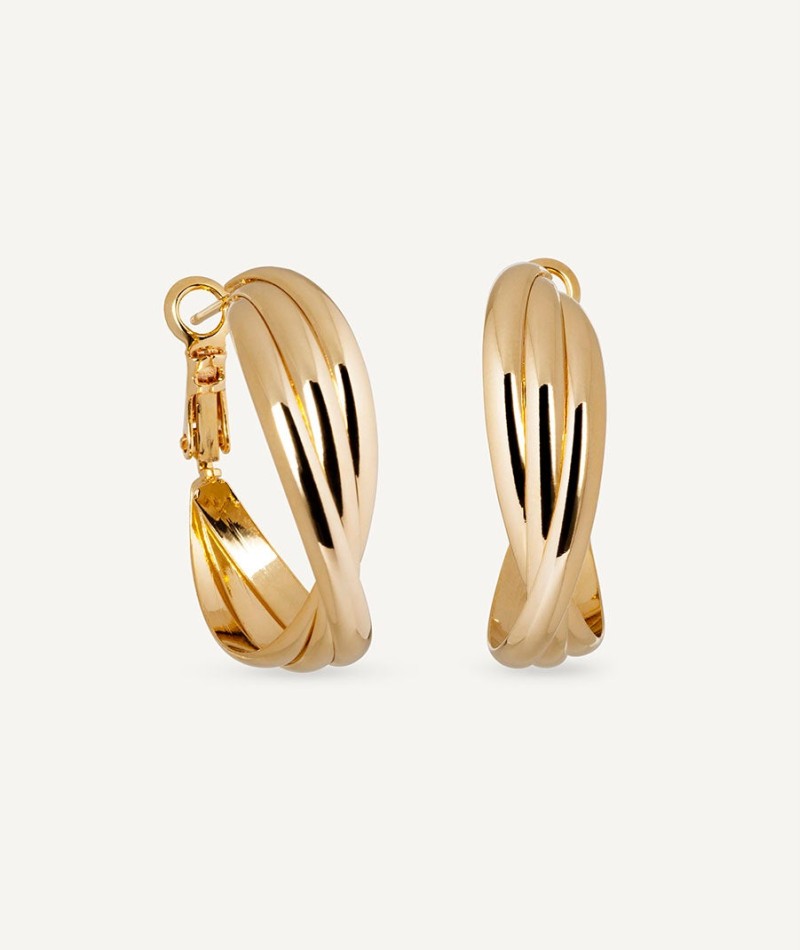 Earrings intertwined hoop