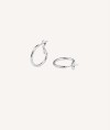 Earrings hoop