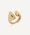 Anillo Salina