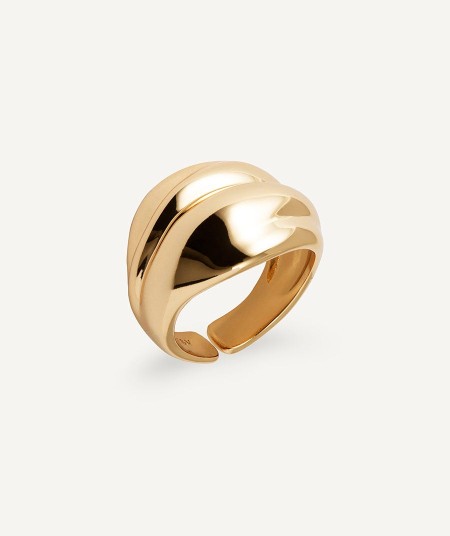 Anillo Curva