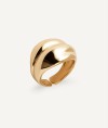 Anillo Curva