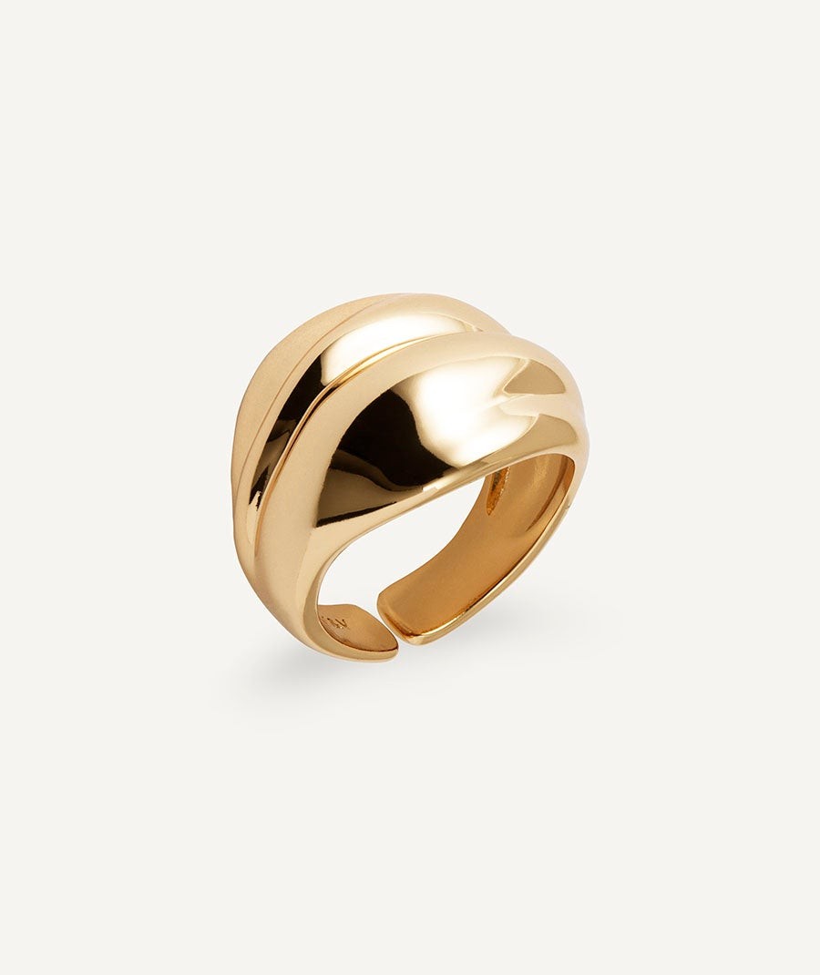 Anillo Curva