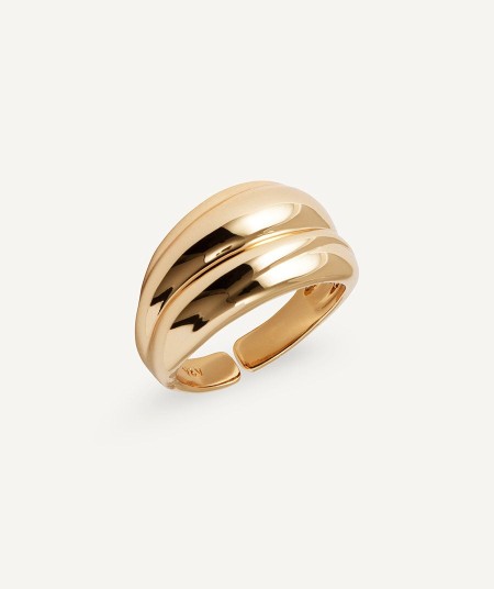 Anillo Curva