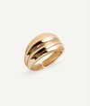 Anillo Curva