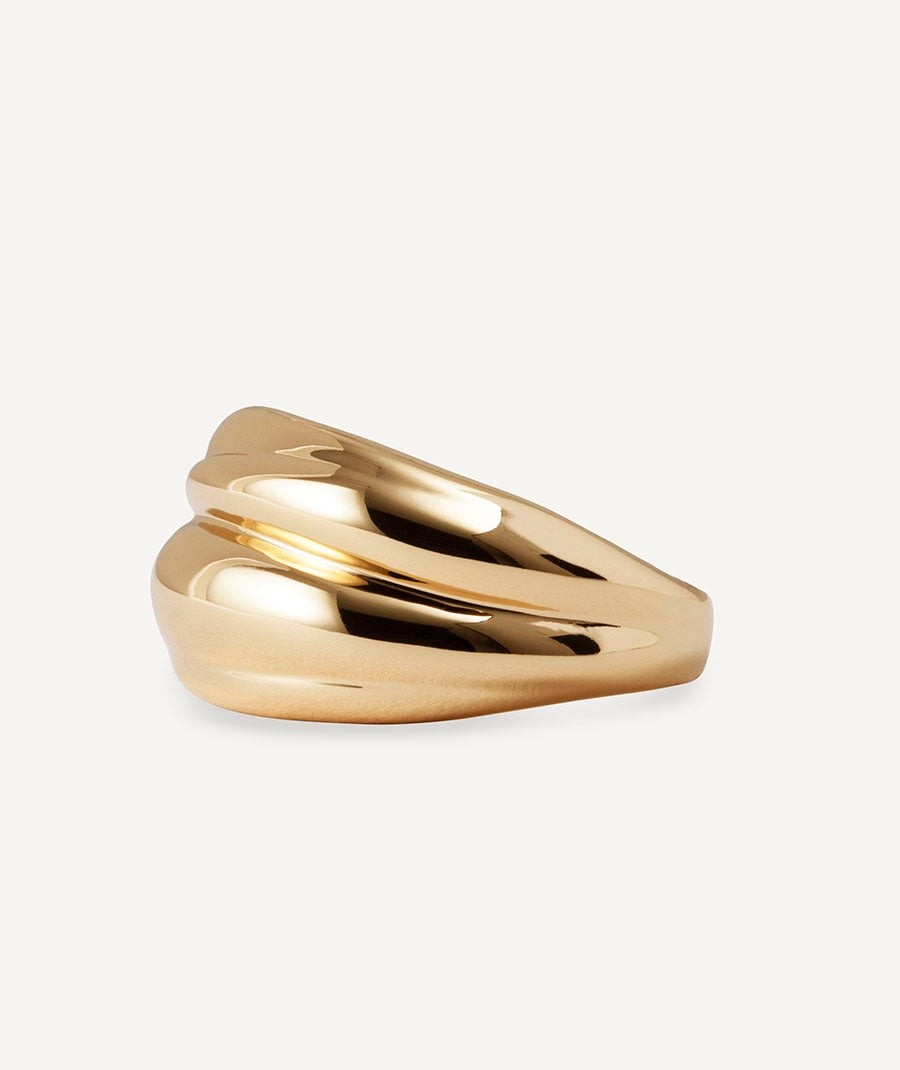 Anillo Curva