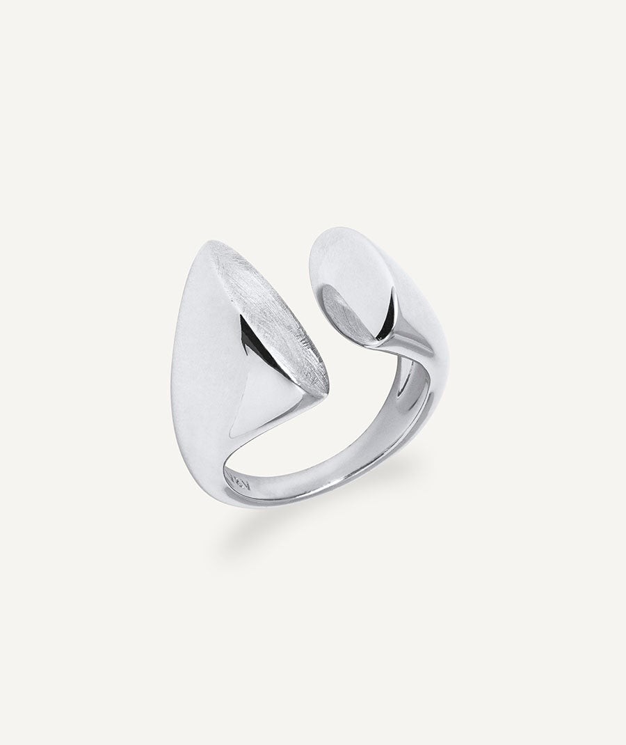 Anillo Salina