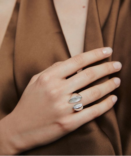 Anillo Salina