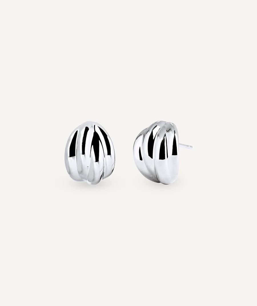 Earrings Hug